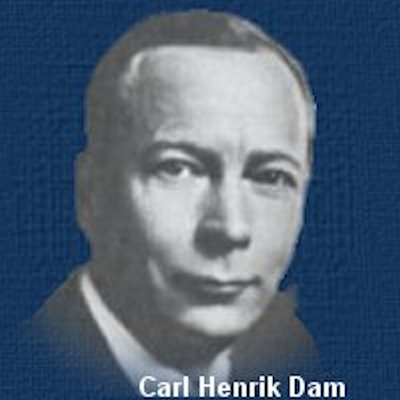 dam_carl_henrik